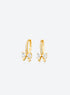 Promise Bow Earrings