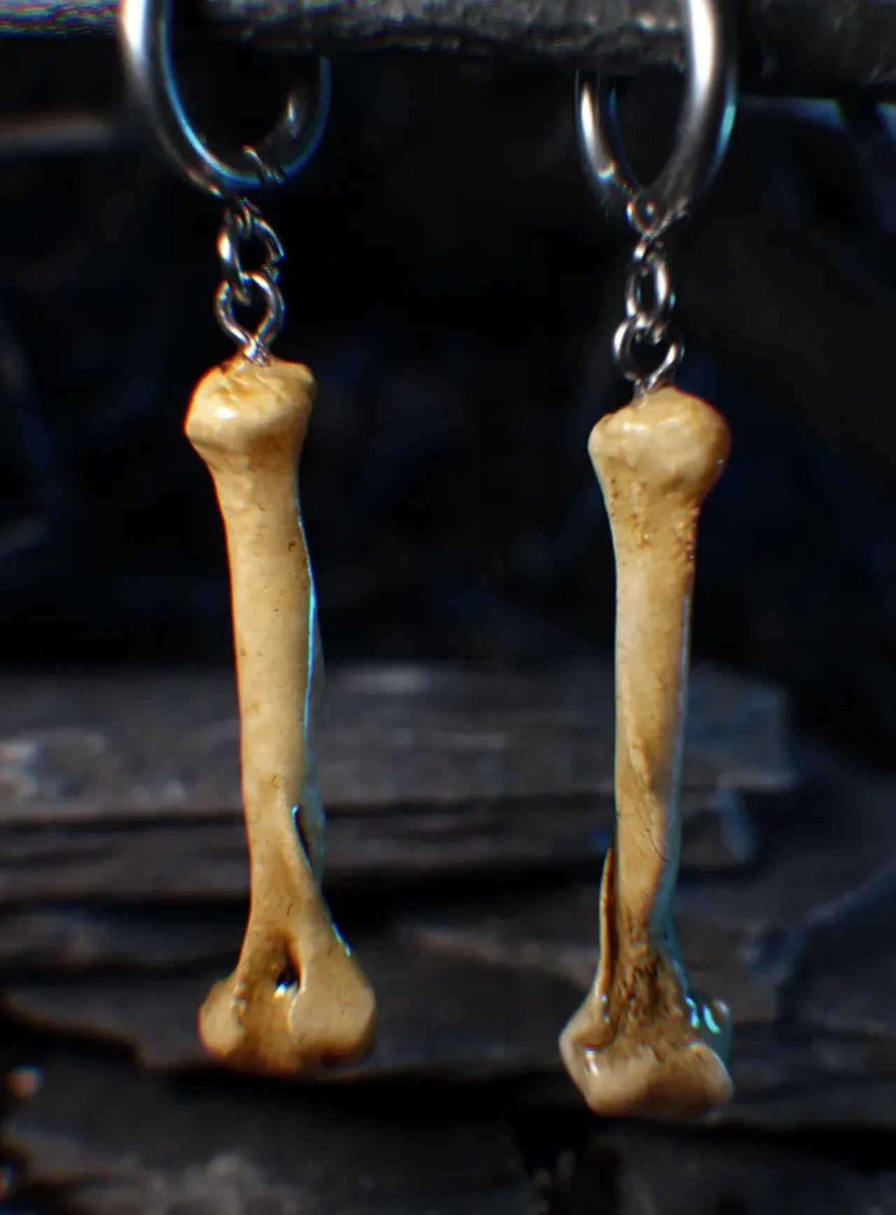 Dust Bone Hoop Earrings