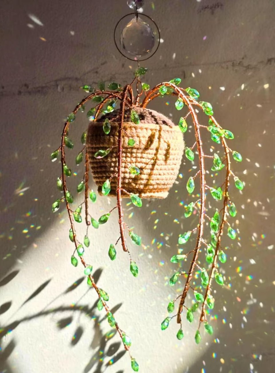 Suncatcher Plant Window Hanging