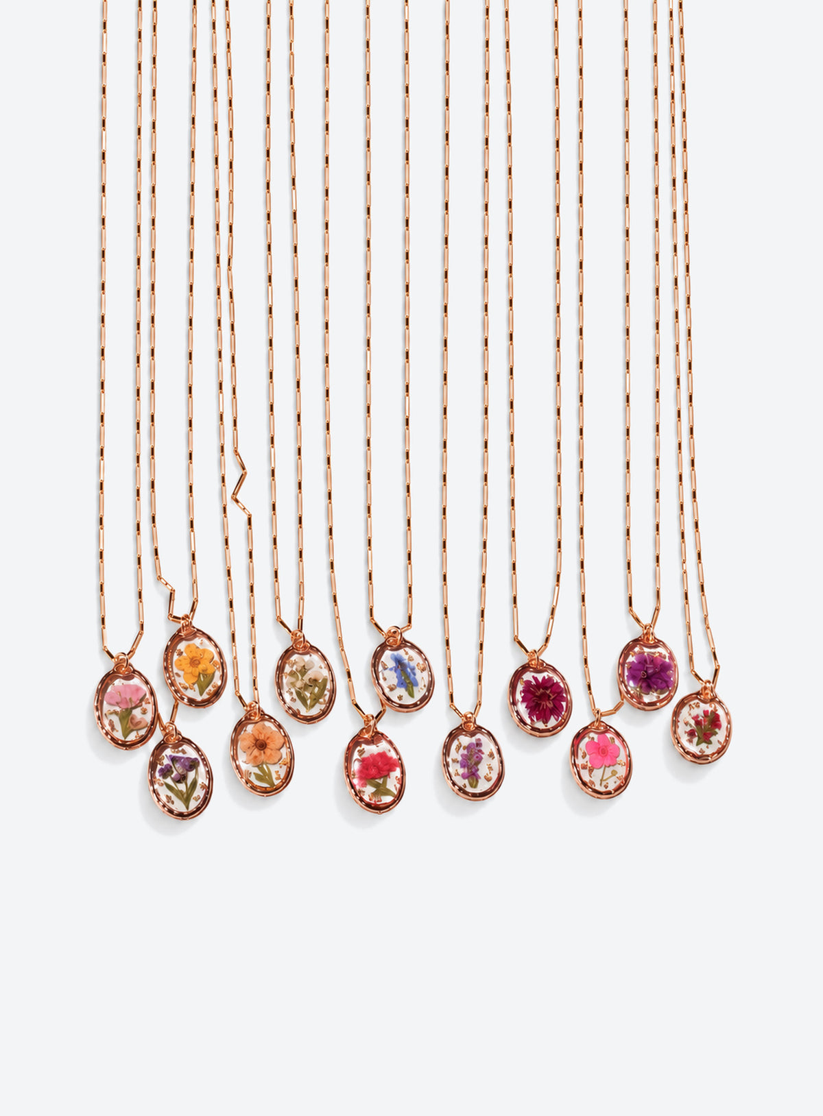 Birth month pressed-flower pendant necklace with a gold paperclip chain