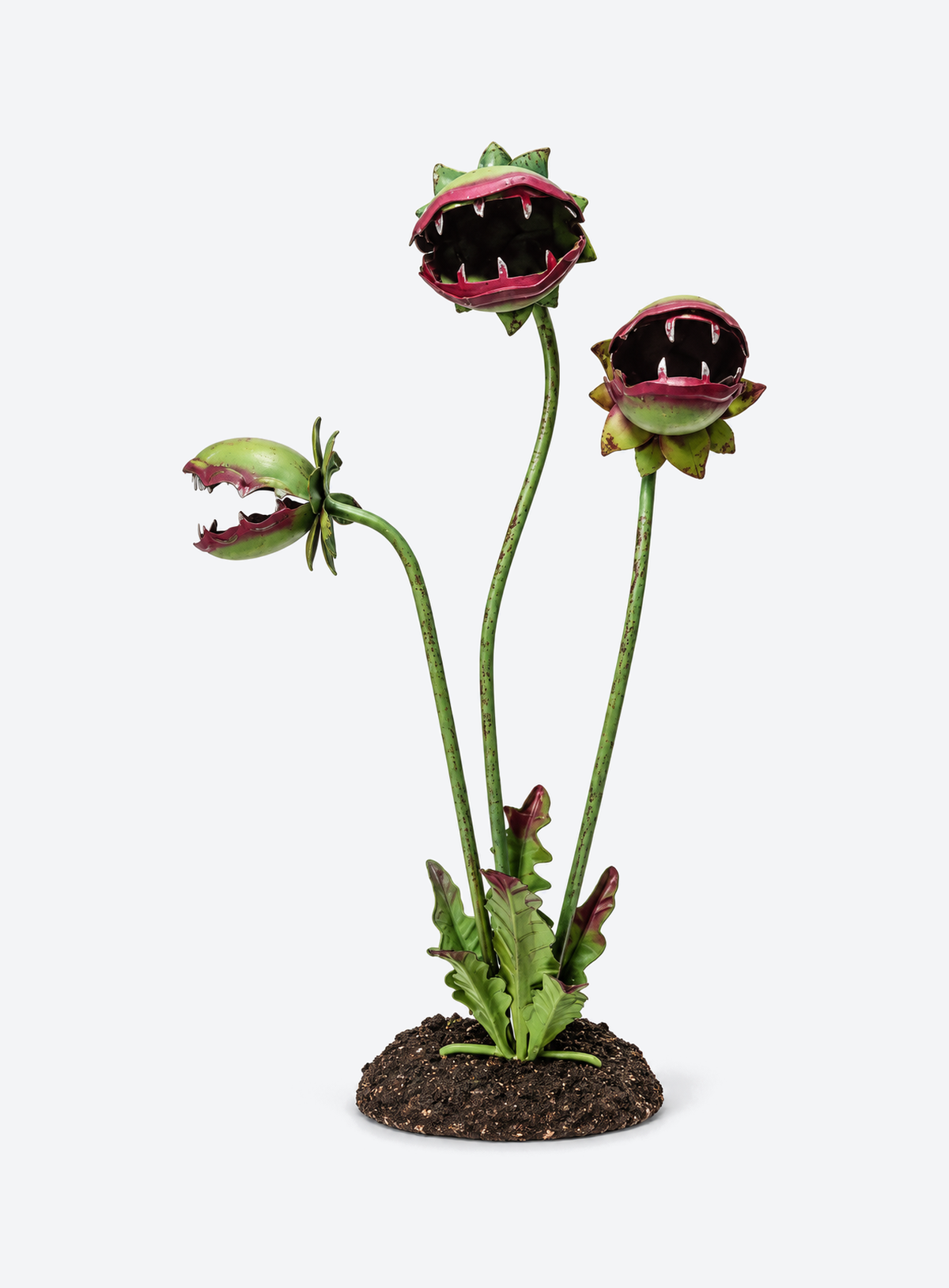 Carnivorous Plant Garden Stake