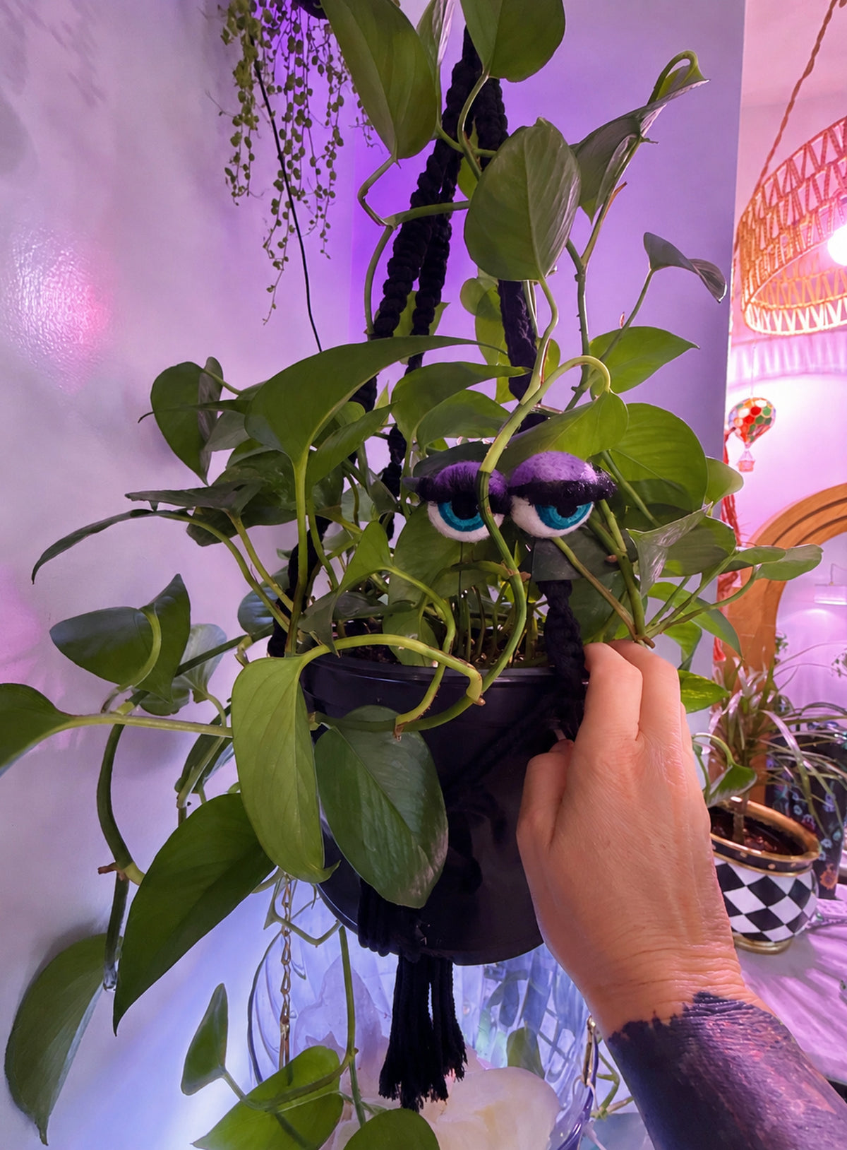 Felt eyeball plant stakes with colorful eyeshadow, eyelashes, and floral wire stems
