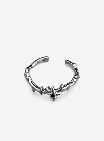 Thorn Band