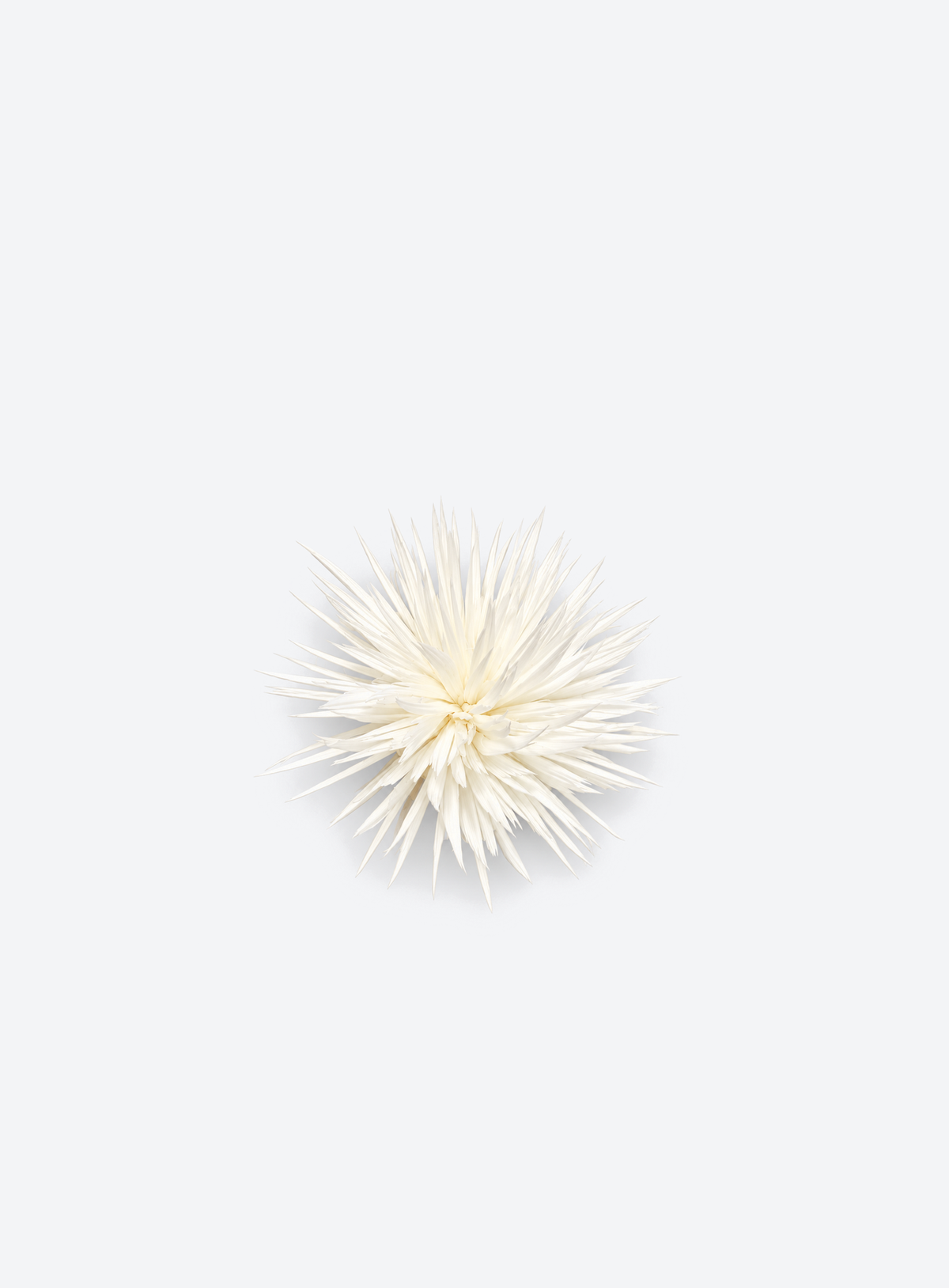 White stud earrings with natural feathers arranged into flower shapes